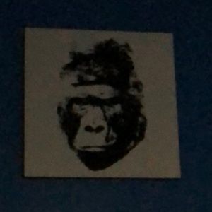 Meet your Posher, Granville